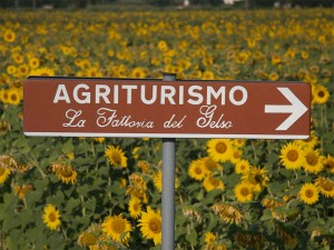 This way for Umbrian agriturismo ! 
