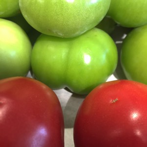 Red and Green Tomatoes