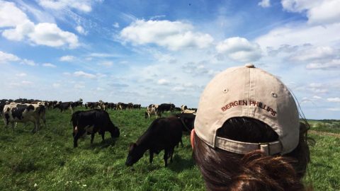 Exploring America’s Dairyland